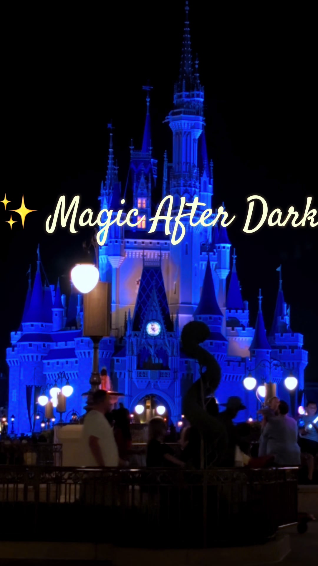 @disneypark_photos