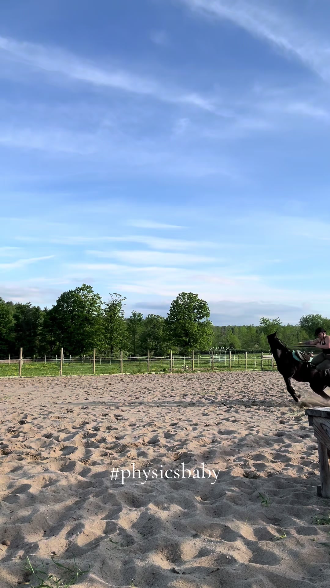 @Kai Elisa 🦨
