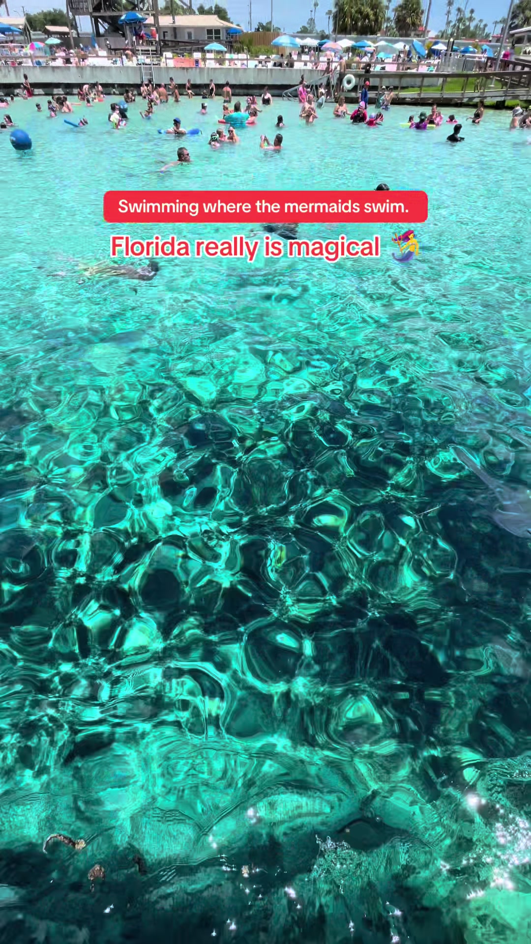 @finestfloridabeaches