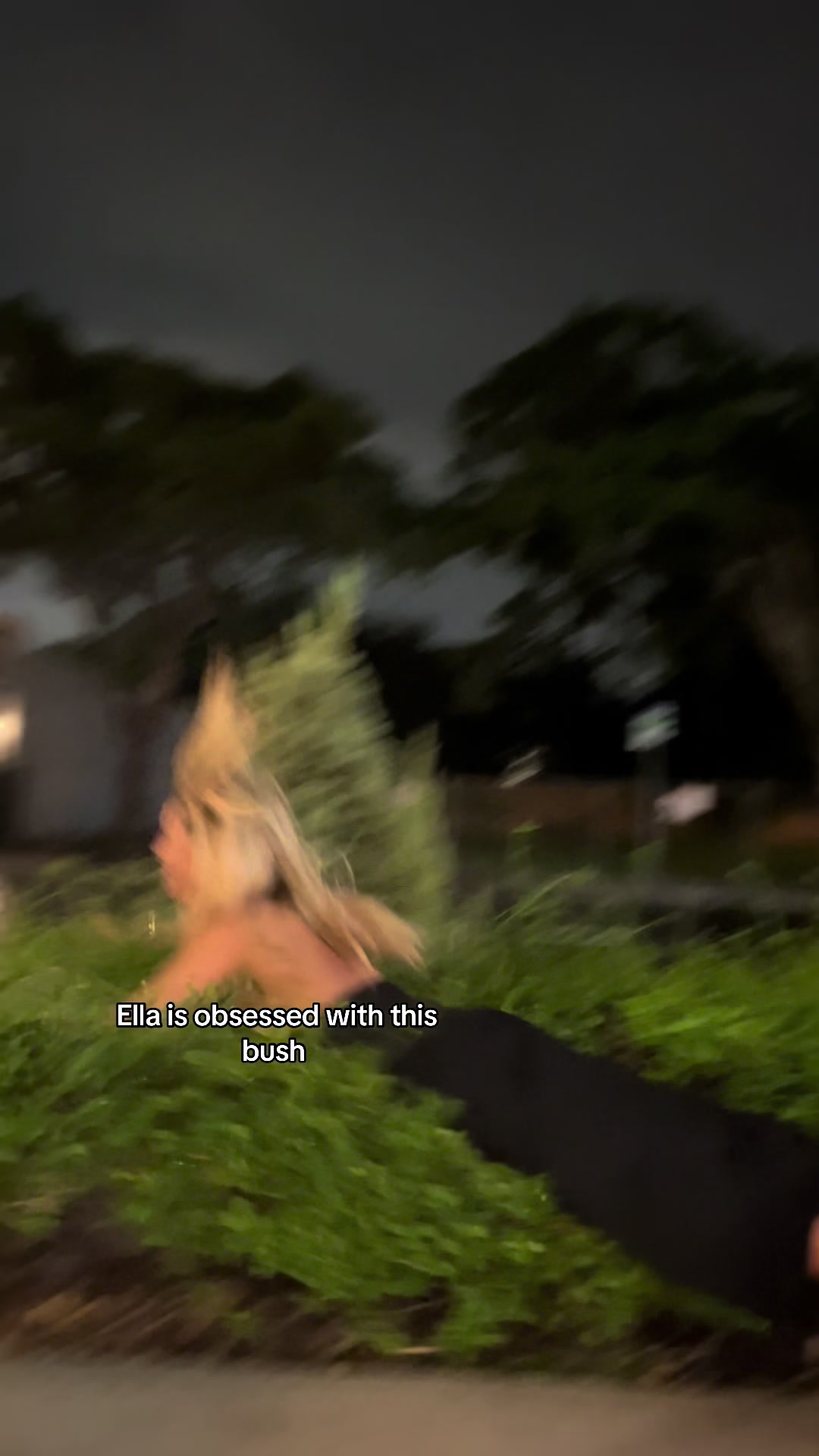 @The Swedehearts