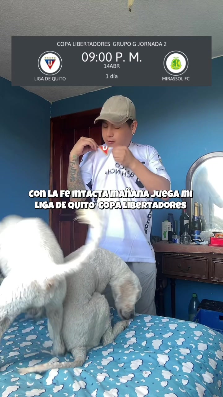 @Lumi.real