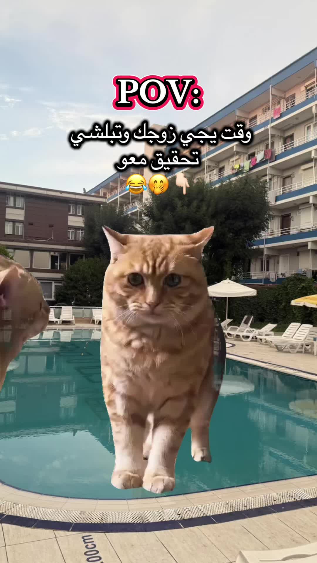 @روتينات أم آية Om Aya