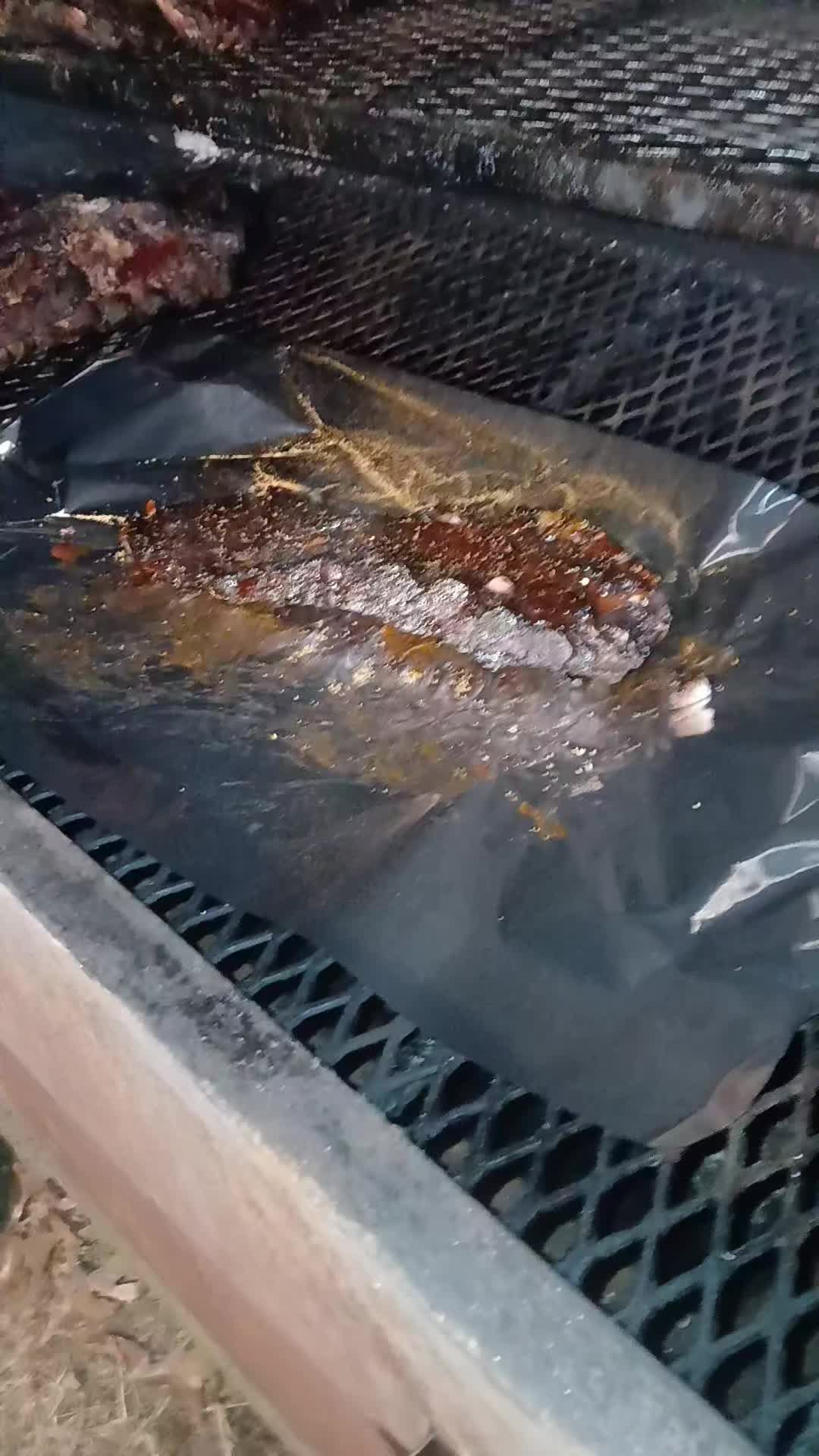 @🆘️oldsoul kennels💪🏼💯🔥🆘️