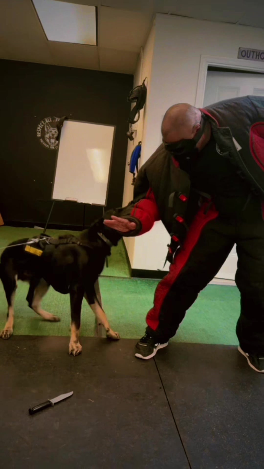 @Tactical K9s Dog Training