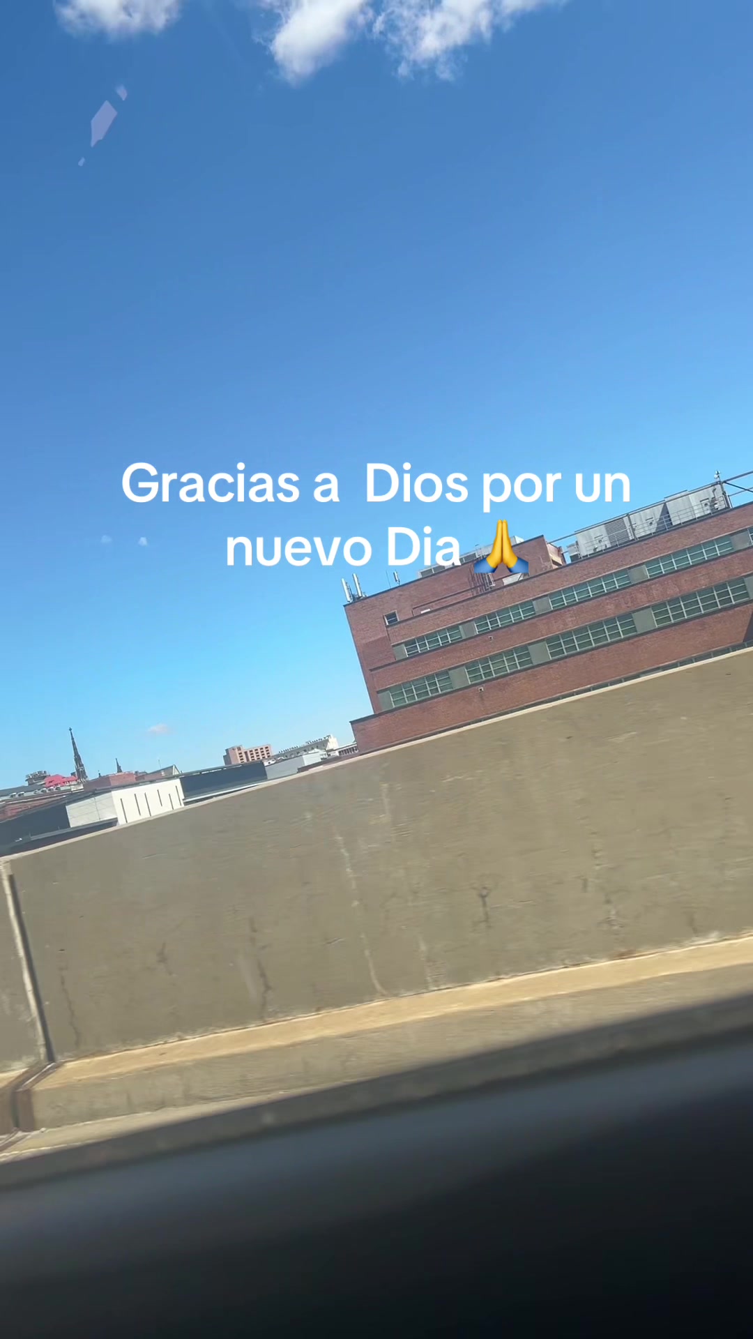 @Noelia M ❤️🦋🐶
