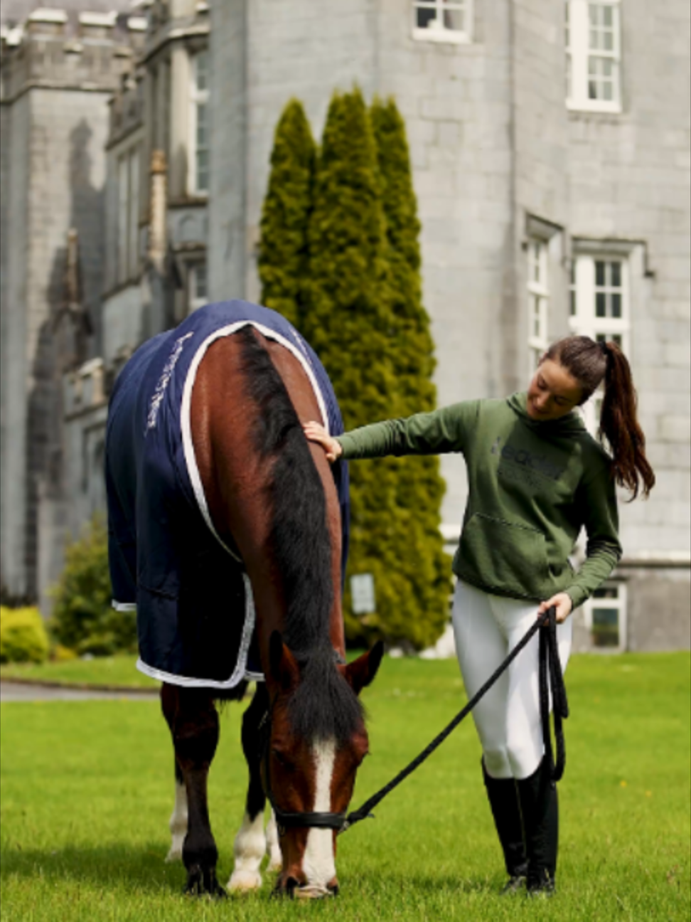 @Leader Equine