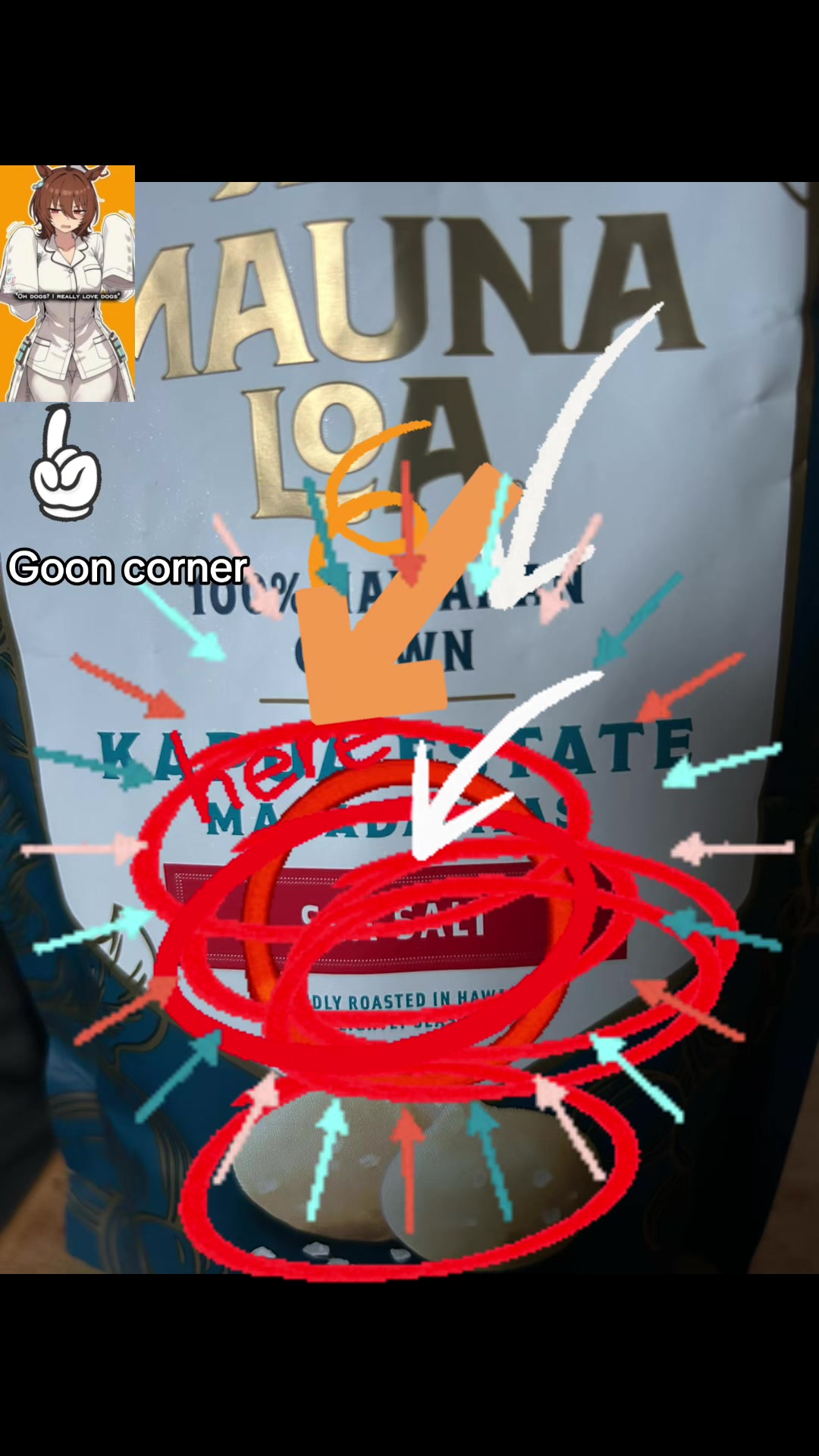 @yofipedits0