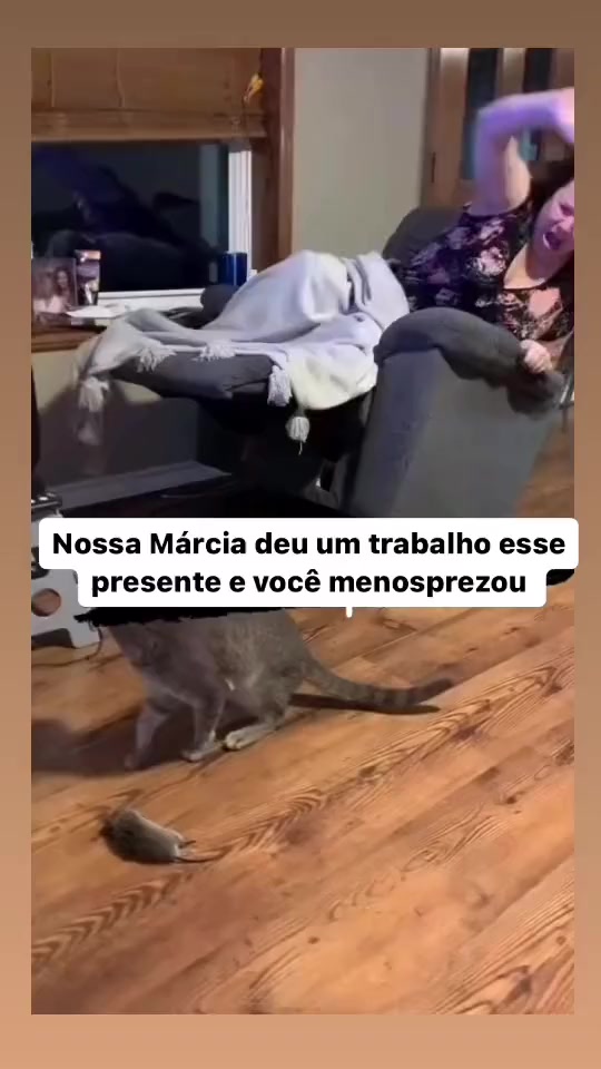 @Lusitonio Machado Do