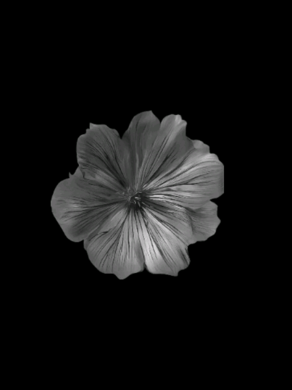 @𝐒𝐓𝐀𝐑'𝐒