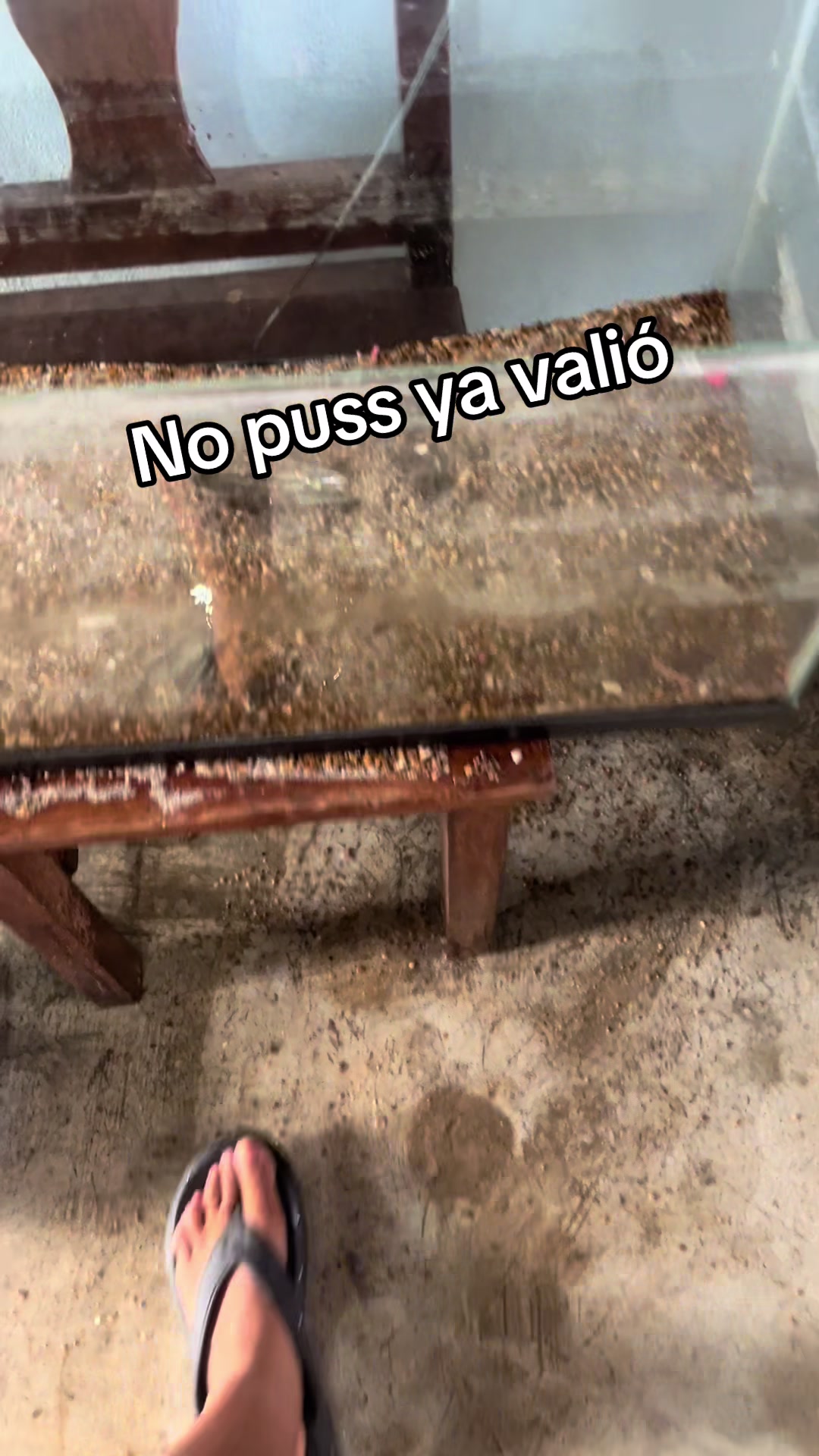 @Auri Ruiz