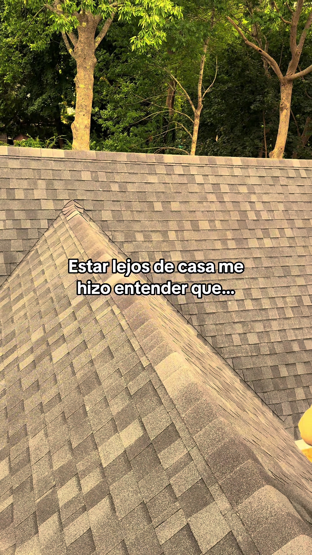 @ օʀȶɨʐ-593♪✩🇪🇨