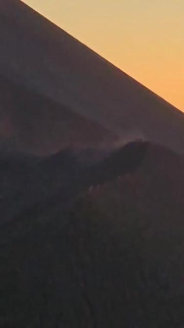 @wolfs.travel.agency