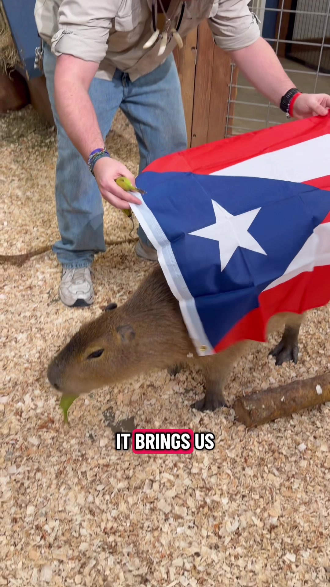 @d_gatorboy