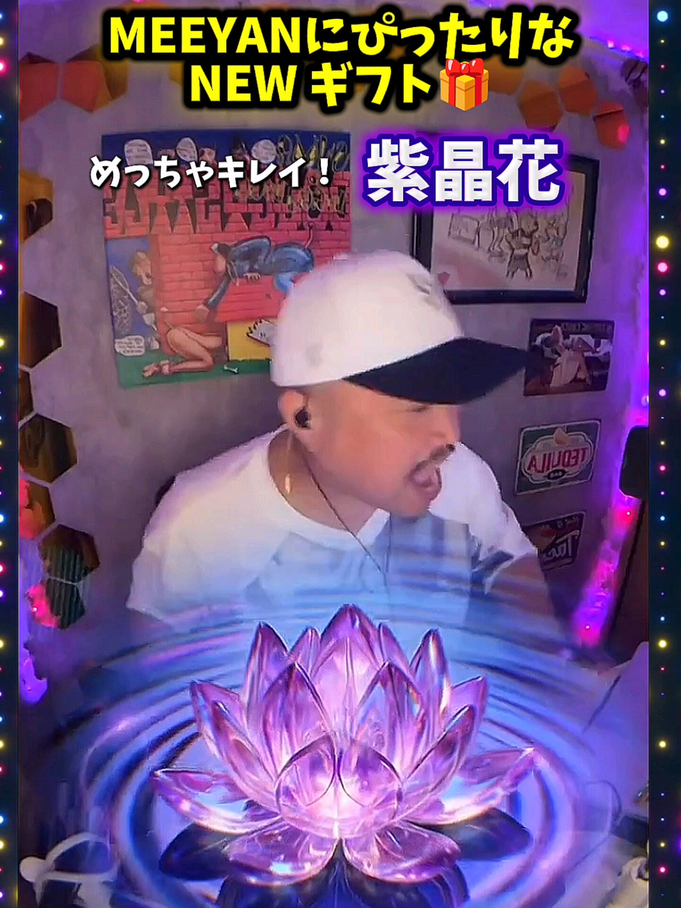 @🪷Haruhapi🪷