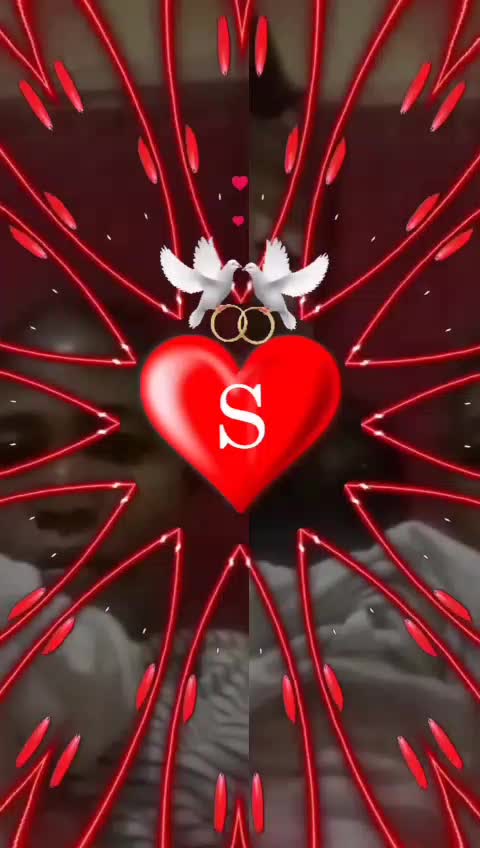 @user4873858129013 mwari