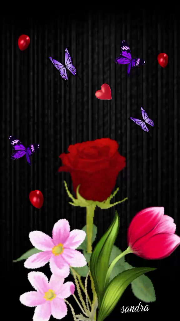 @amran aden