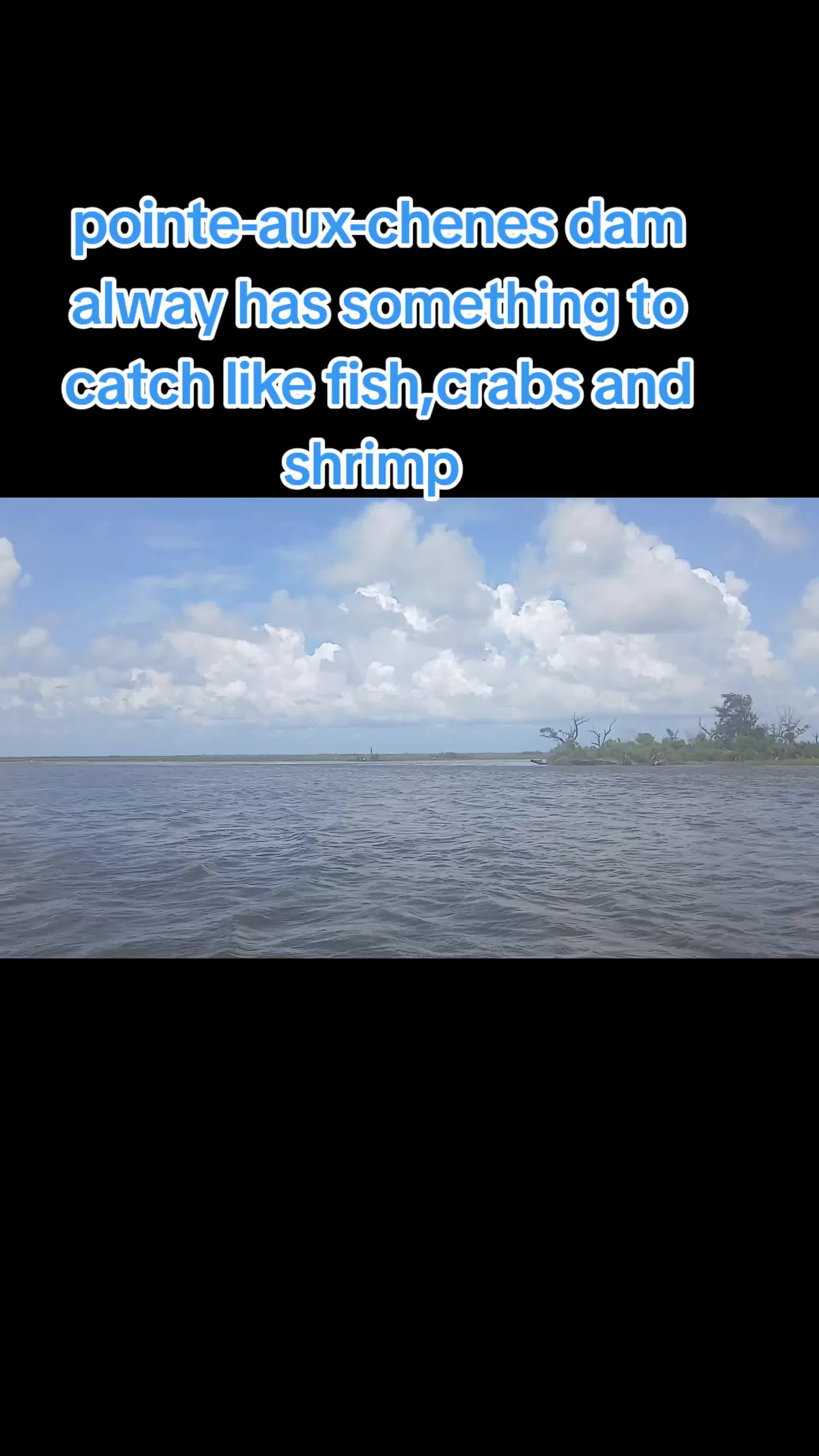 @SALTWATER SAB OUTDOORS