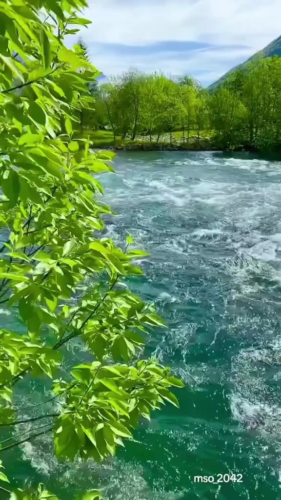 @واثقه بالله