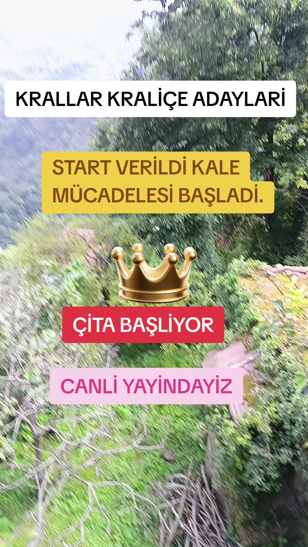 @KRALİYET ÇİTASİ