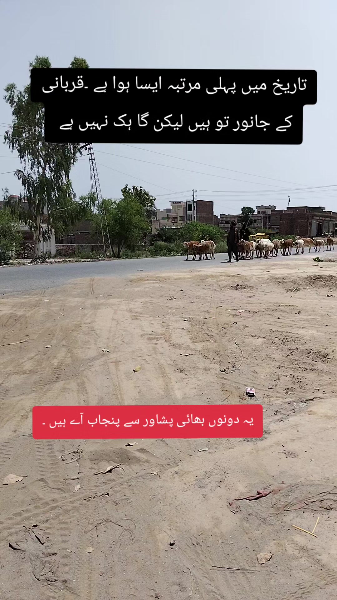 @Bawa AbraR🔹