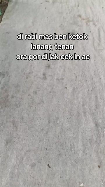 @v-niz