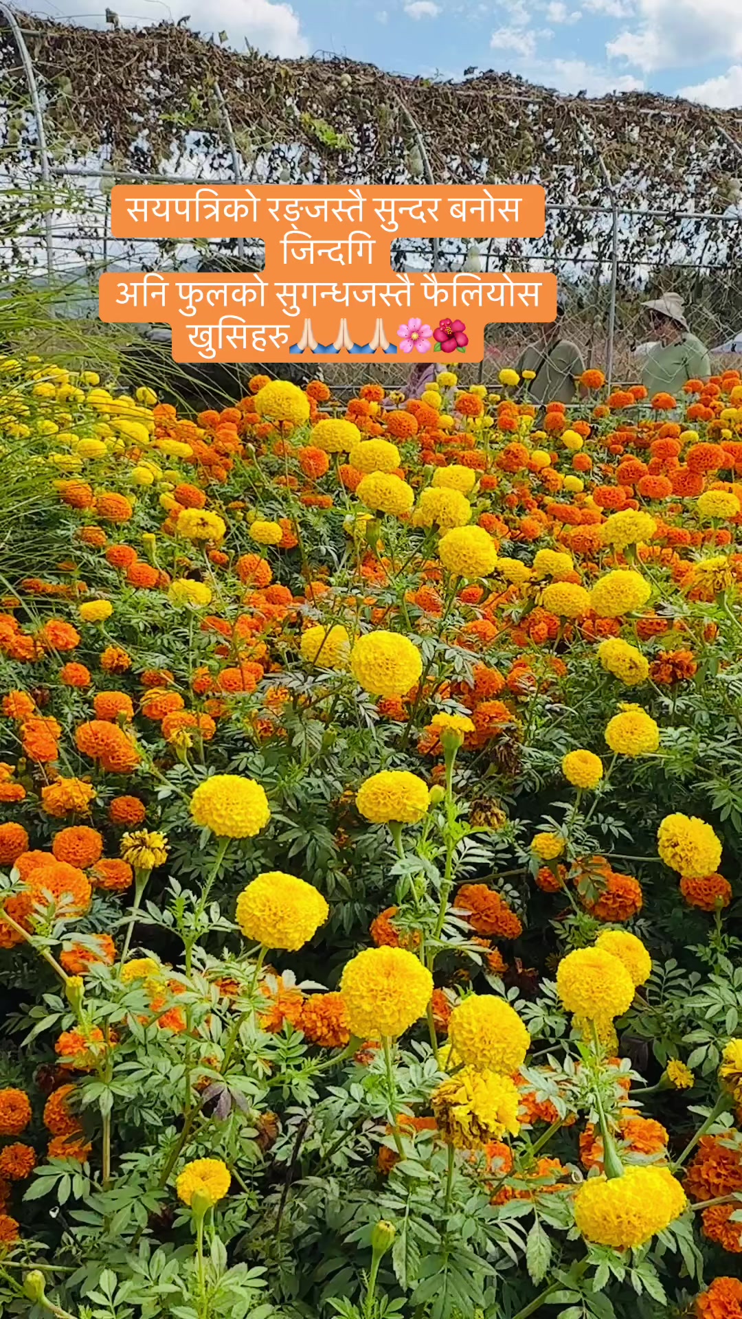 @Pradeep K cee 🇳🇵🇰🇷