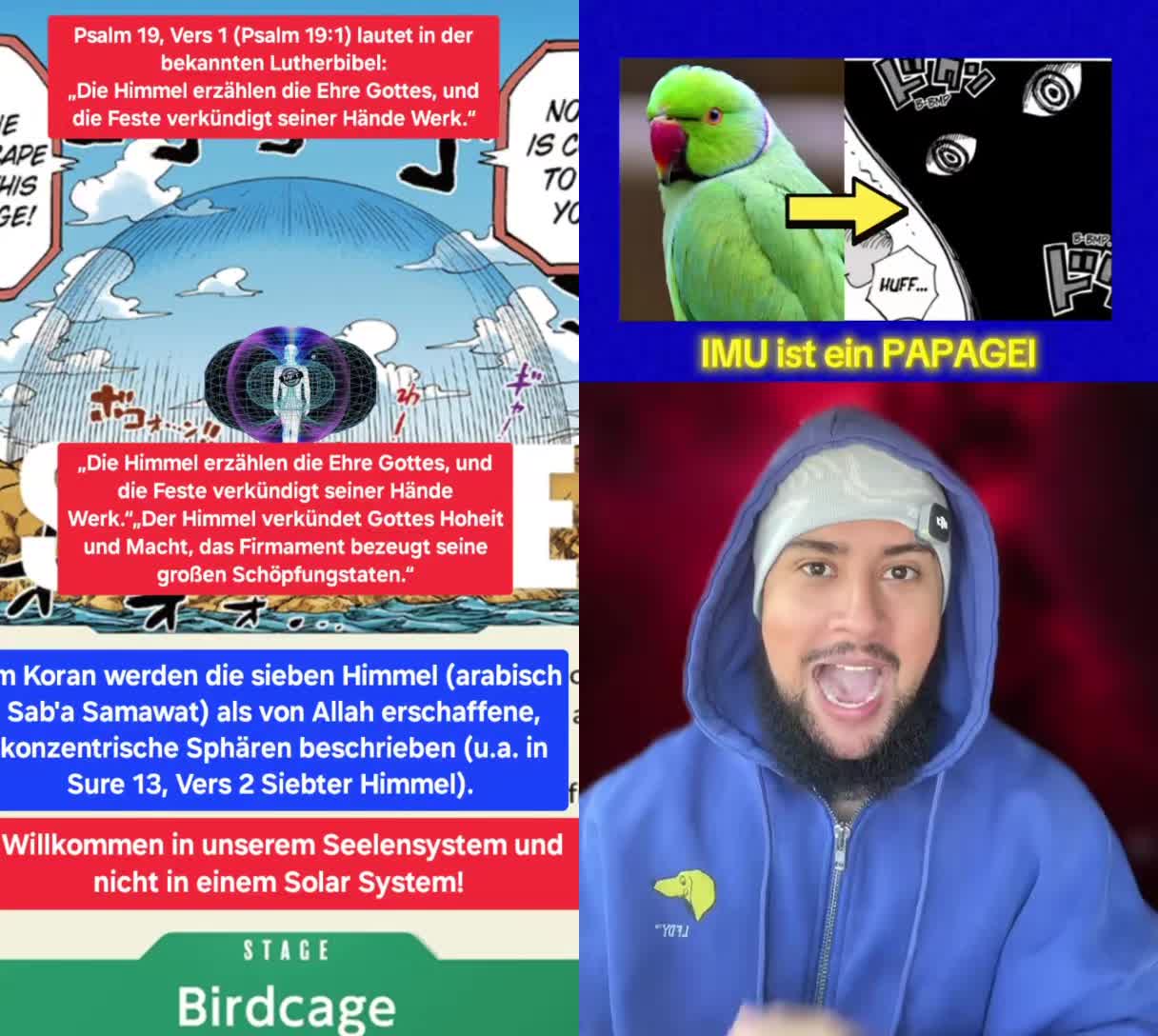 @🏴☠️🩶StimmeAllerDinge🩶🏴☠️