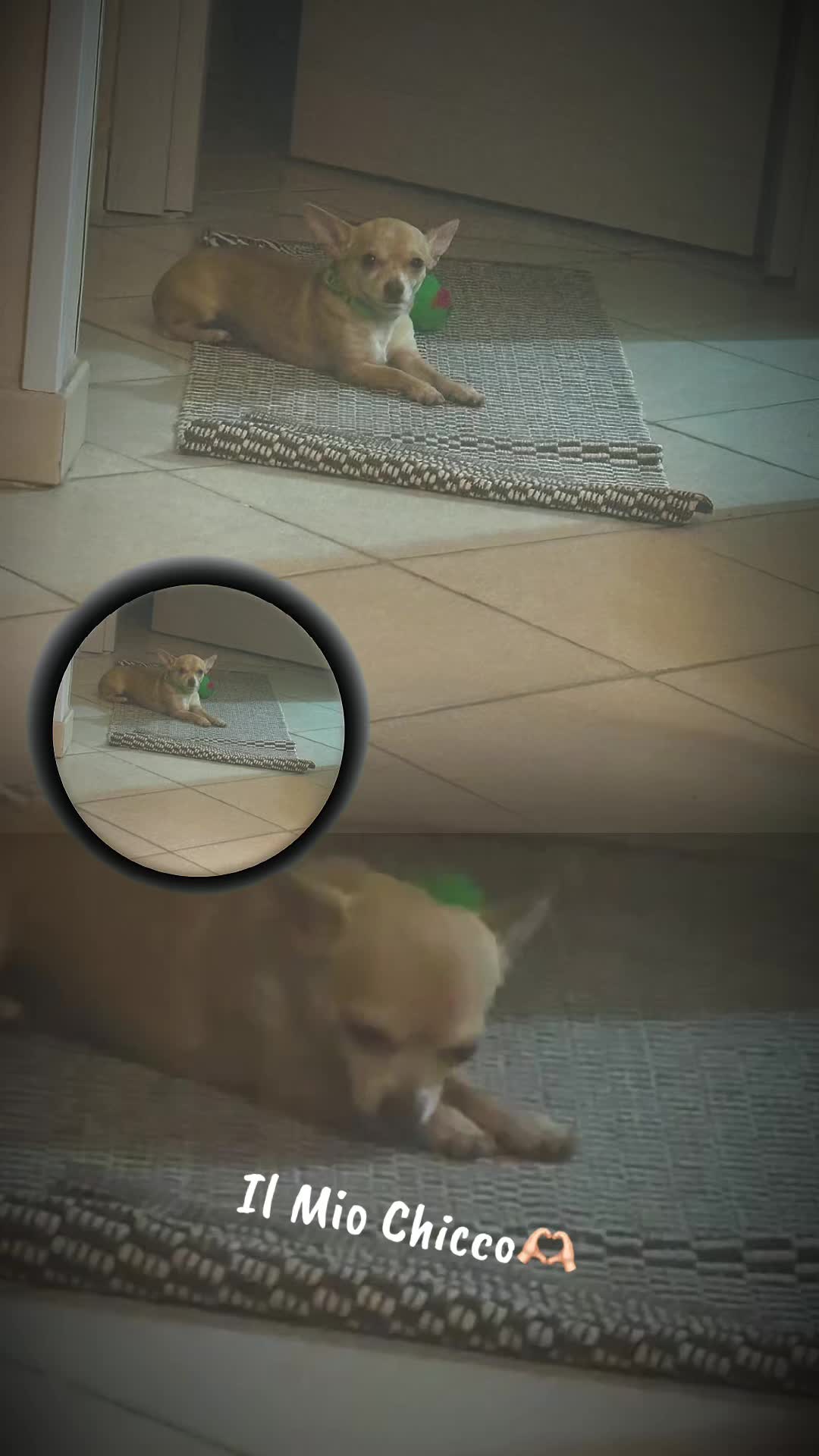 @𝓒𝓸𝓷𝓬𝔂 𝓜𝓲𝓬𝓱𝓲💘