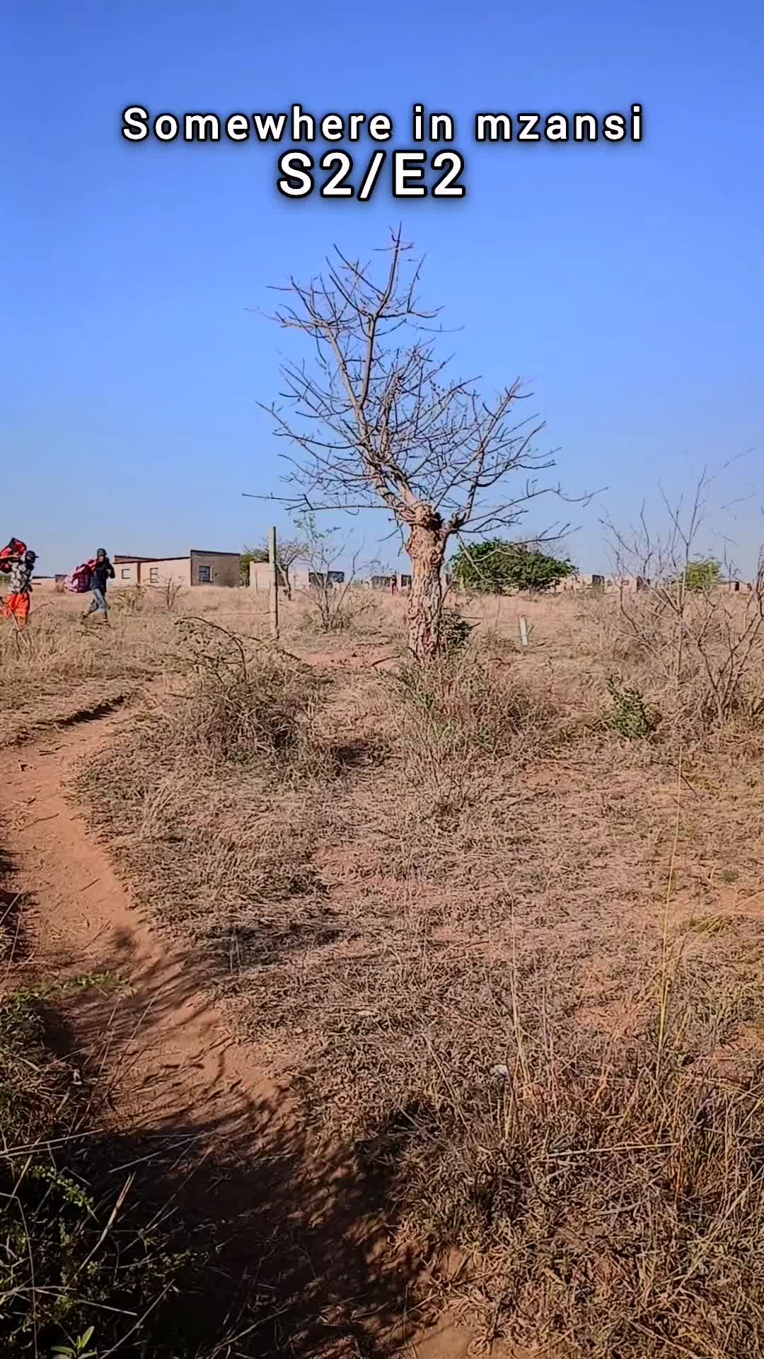 @Mthokozisi SA