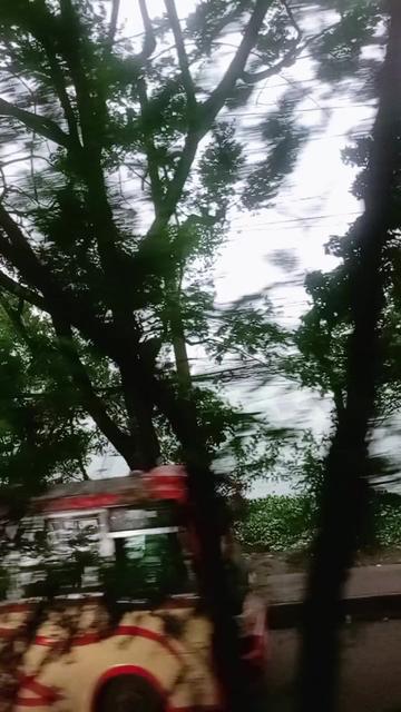 @নিষ্ঠুর এক পরিবারে জম্ম আমার🥲