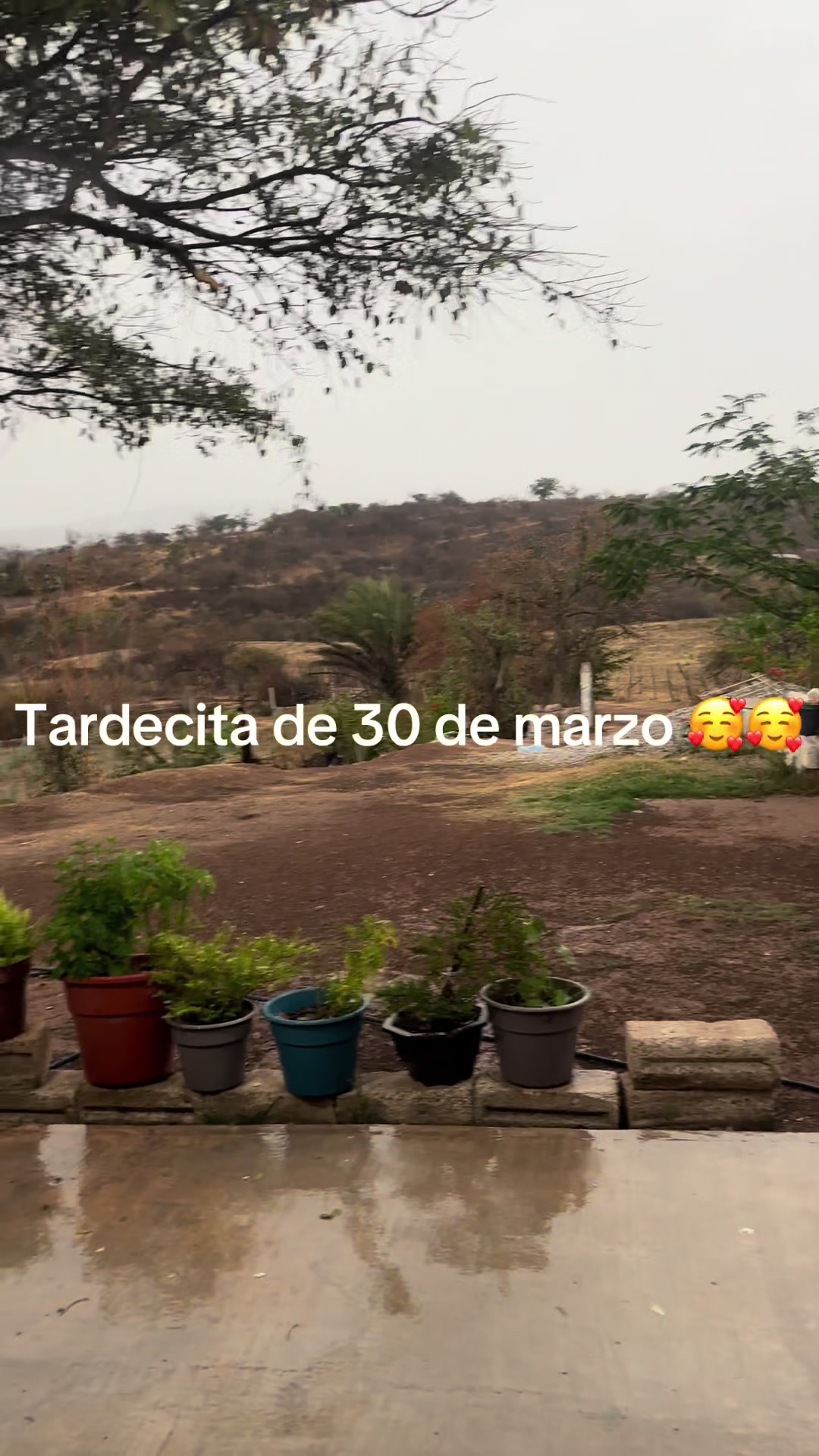 @Mary Sevilla