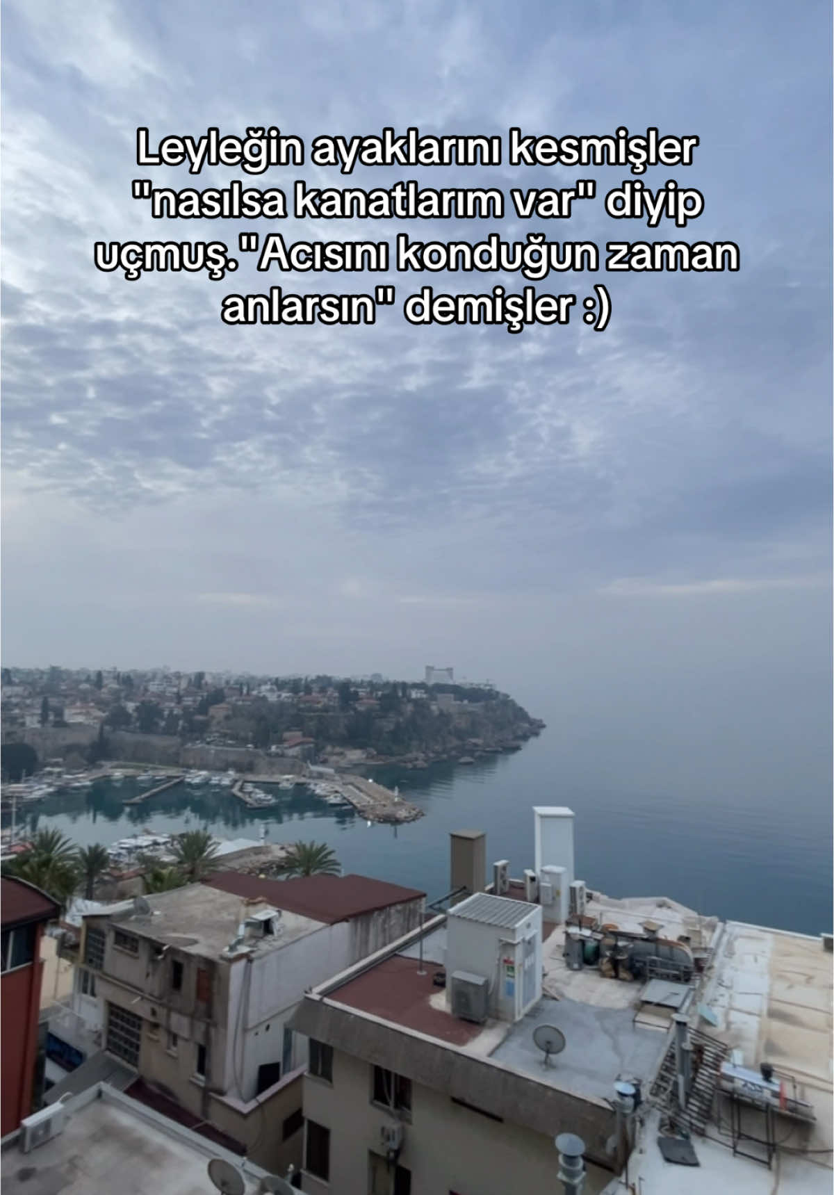 @MŞ