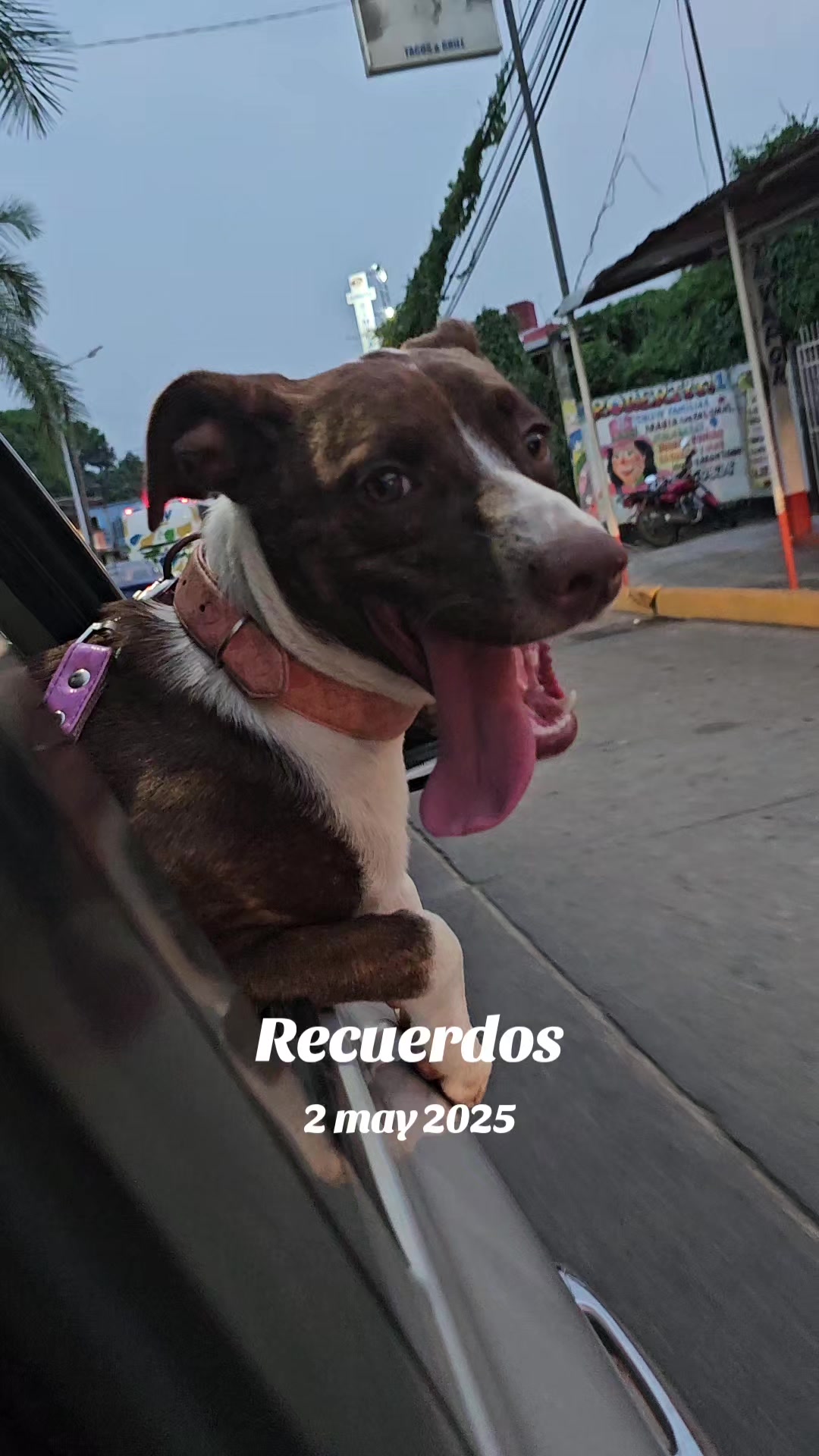 @Vero Pulgarón