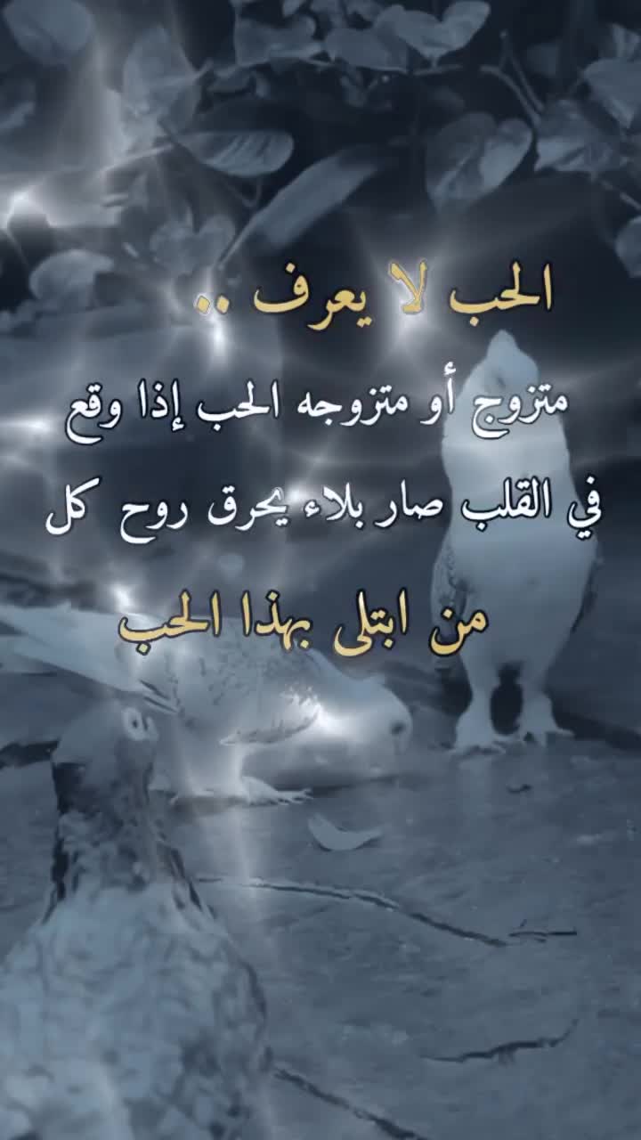 @ۛ ּا̍ڷــعــٰٱ̍مۘــري🎻