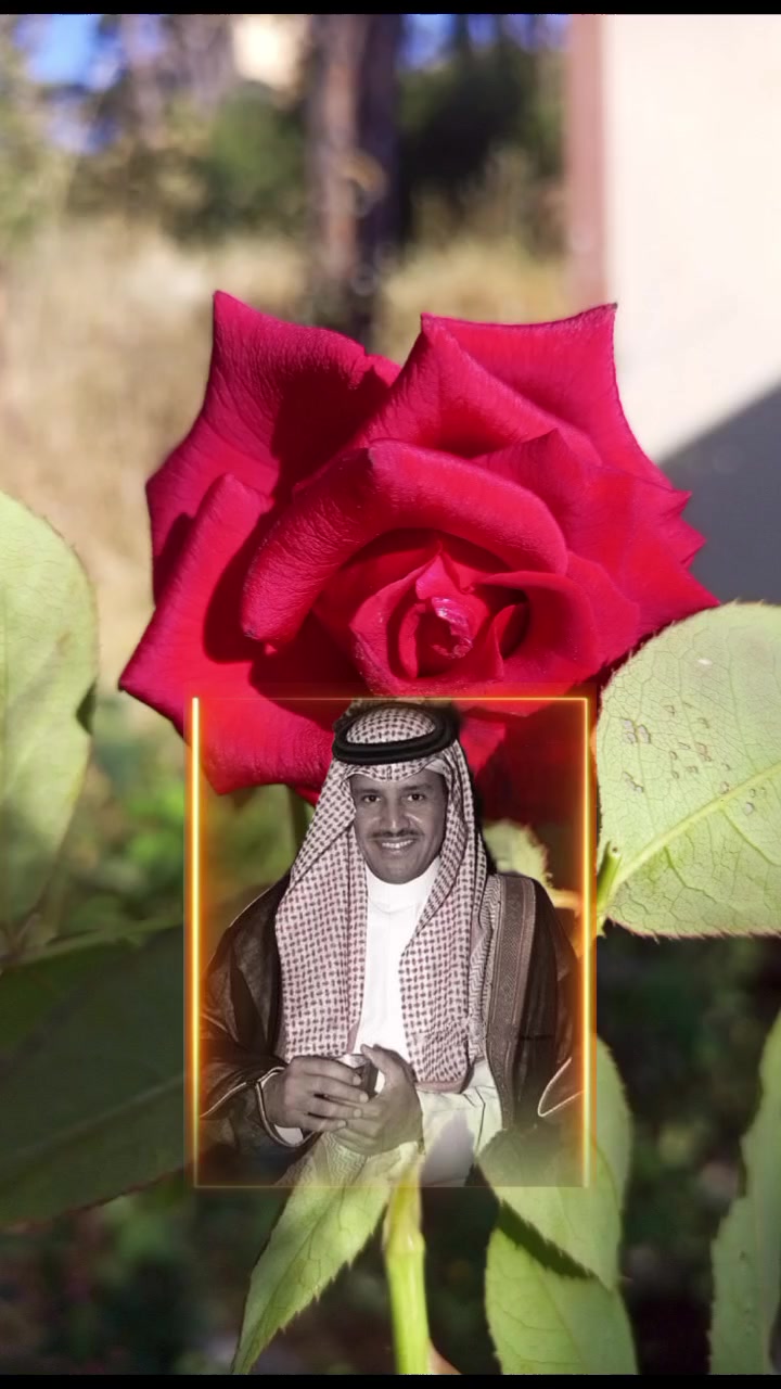 @lavendr81