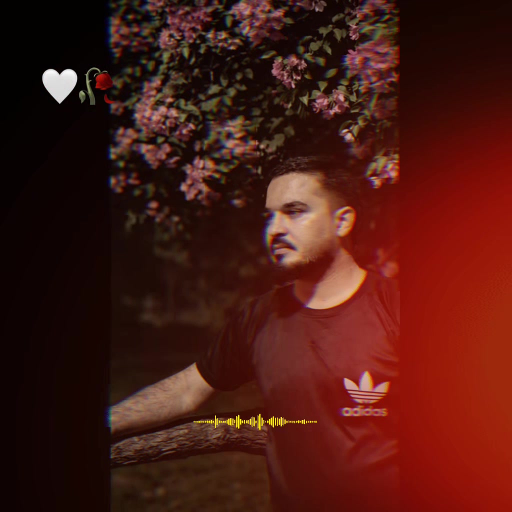 @sheikhhafeezoo775