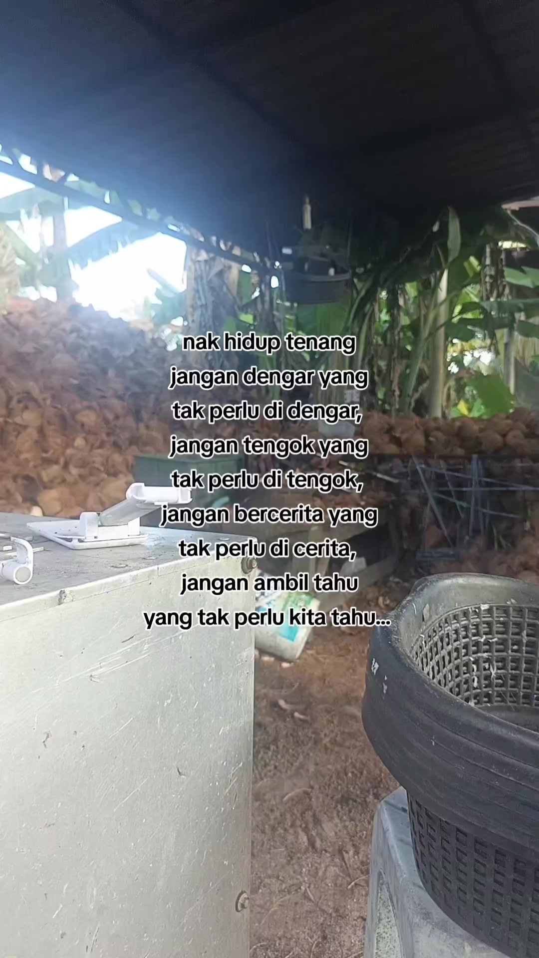 @tok ayoh