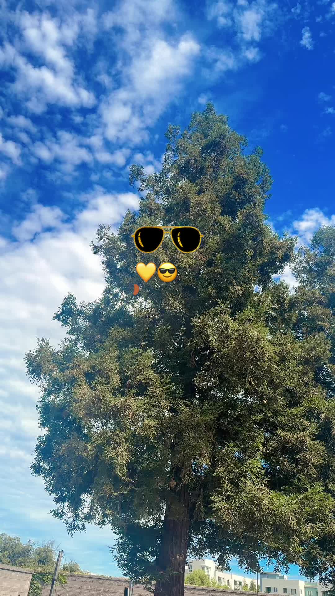 @Jatt_302😎🪯