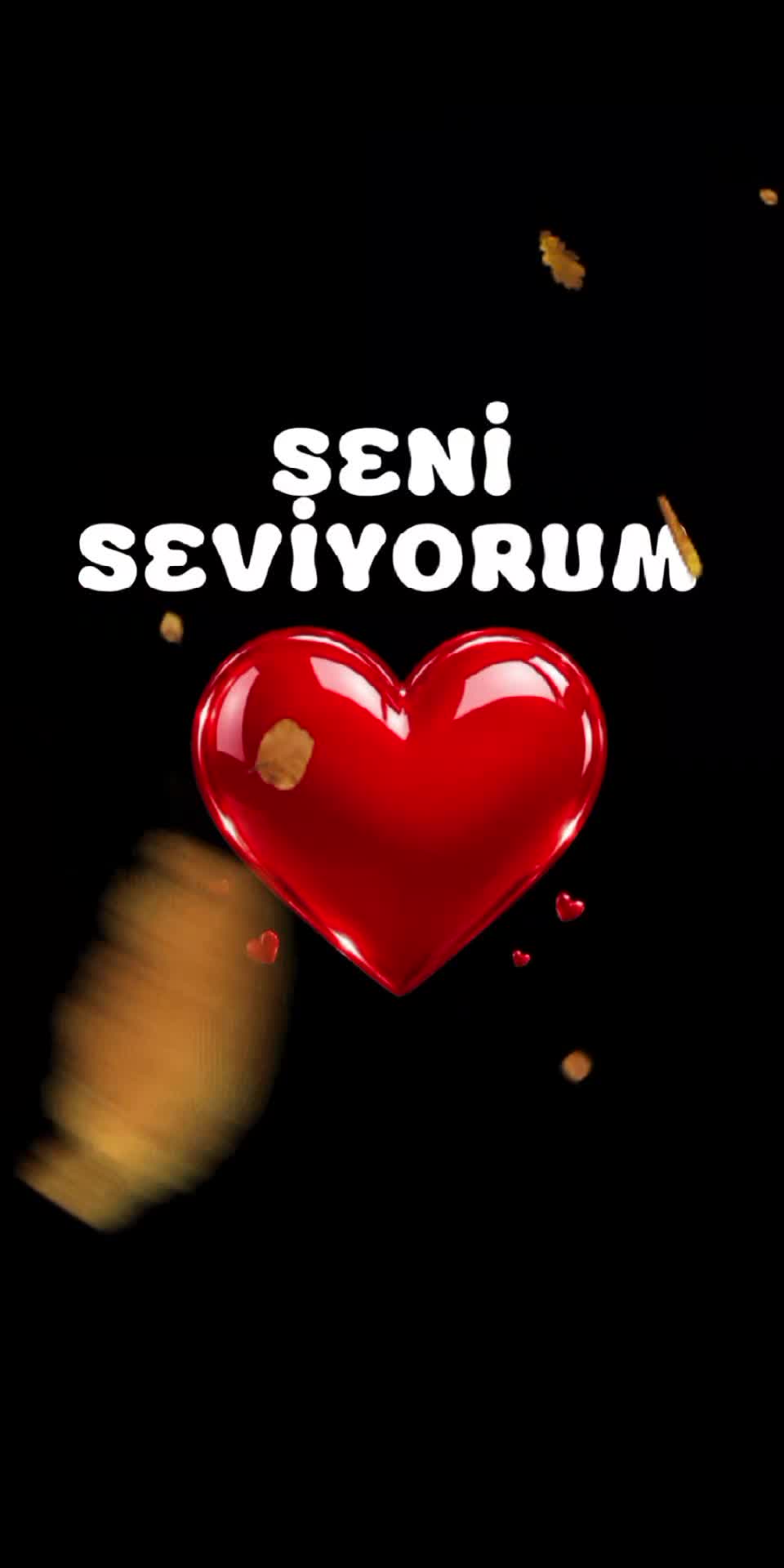 @SHOW İS NAME