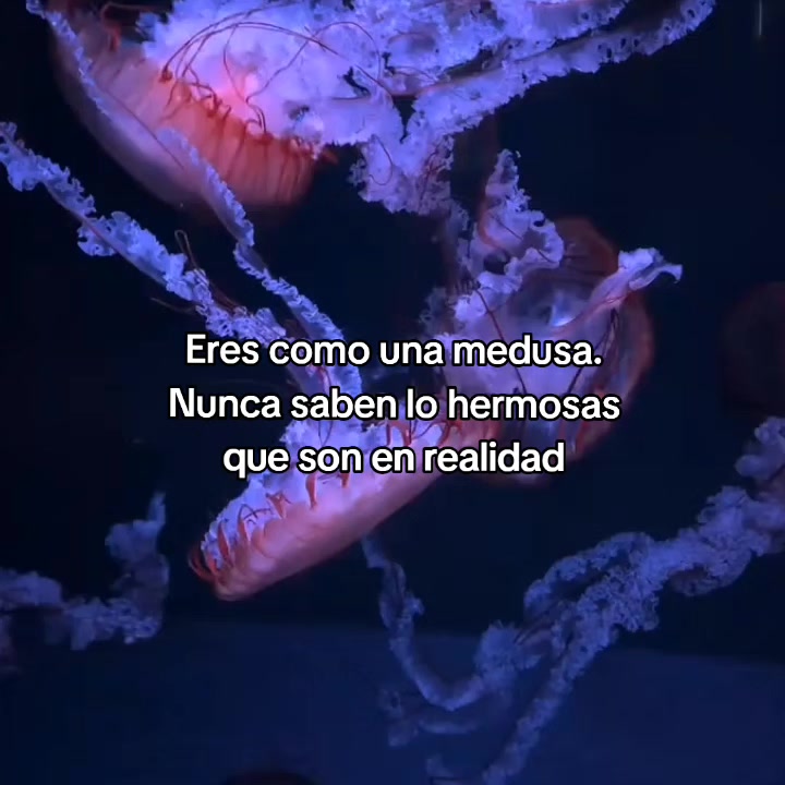 @goodvibessxd
