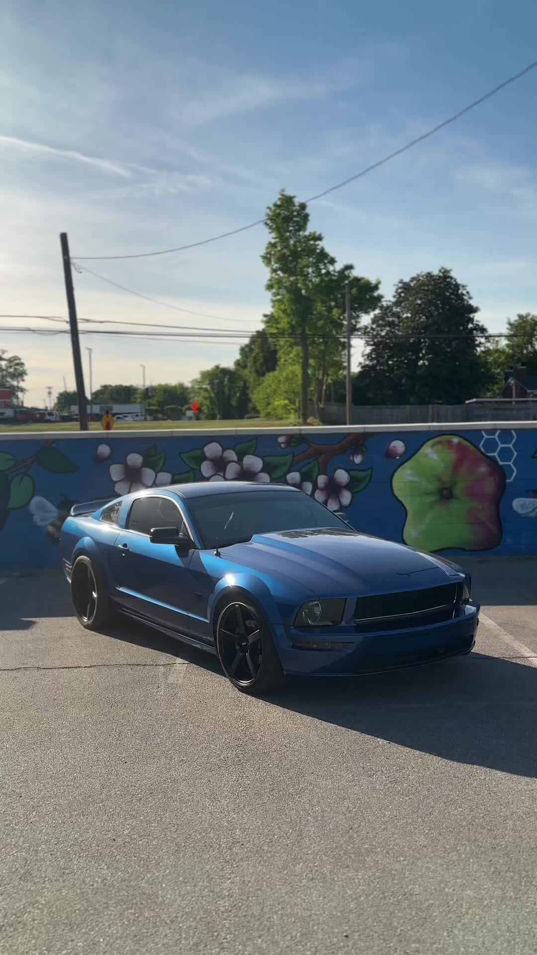@Thatblutiful3v