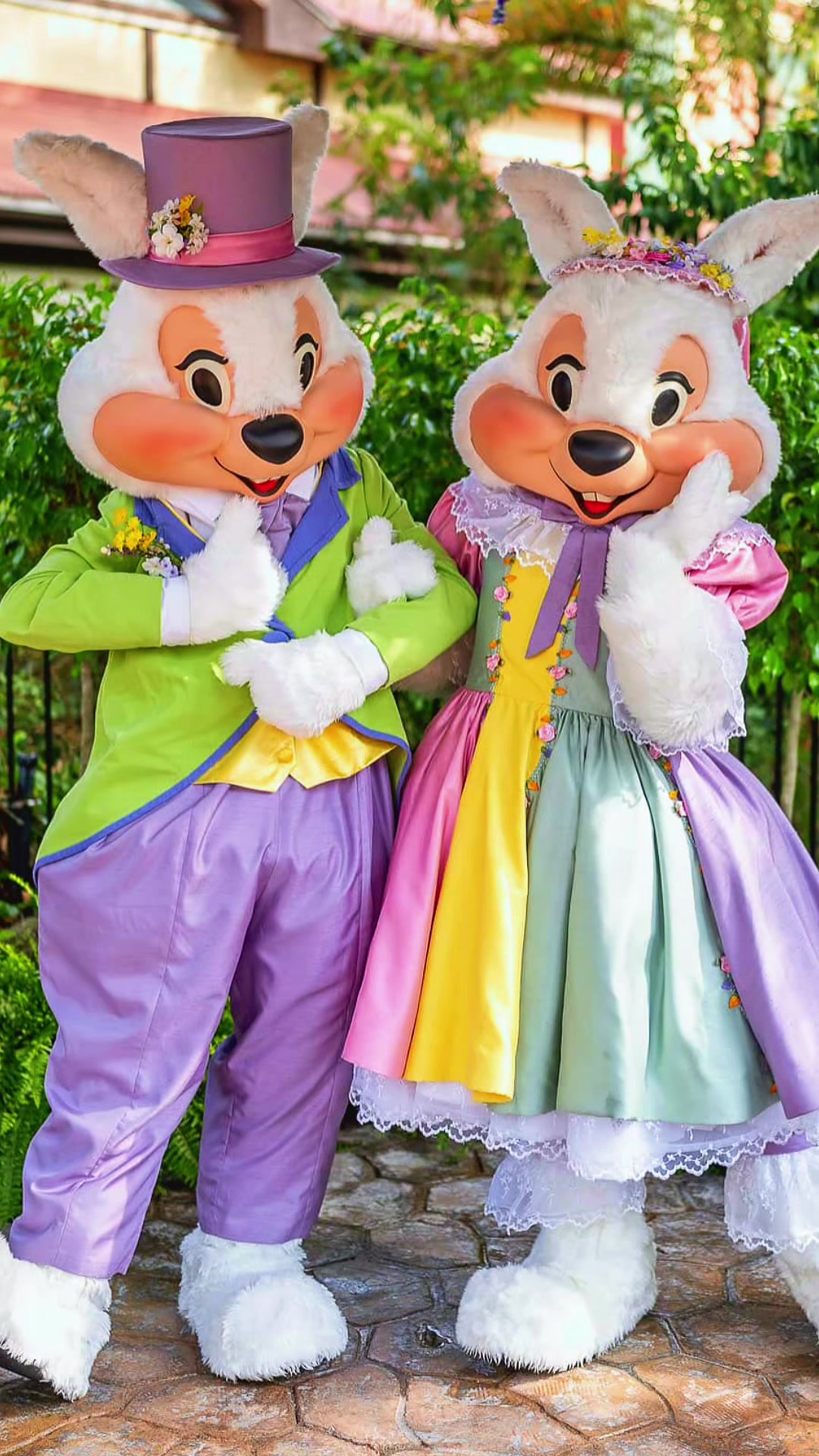 @Rope Drop Nation