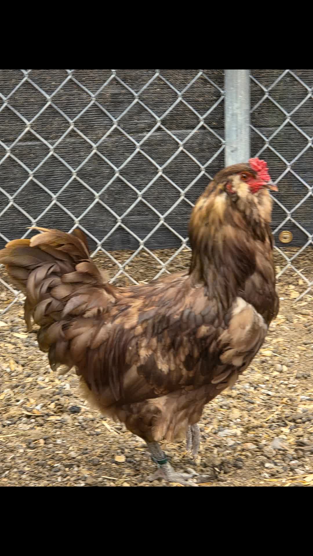 @JMFARMS123