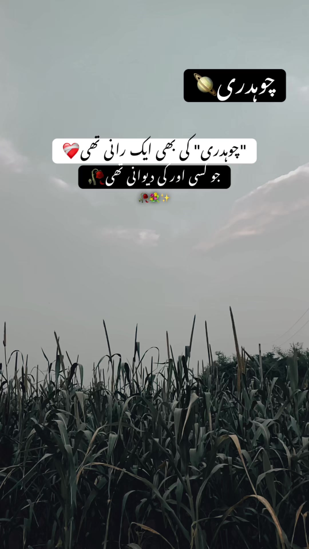 @چوہدری🪐