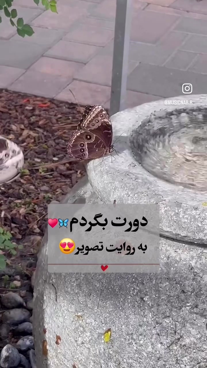 @❣️فانوس🍁خزان❣️