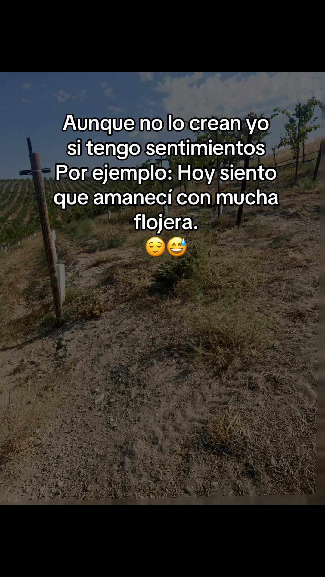 @Sandra Santiago