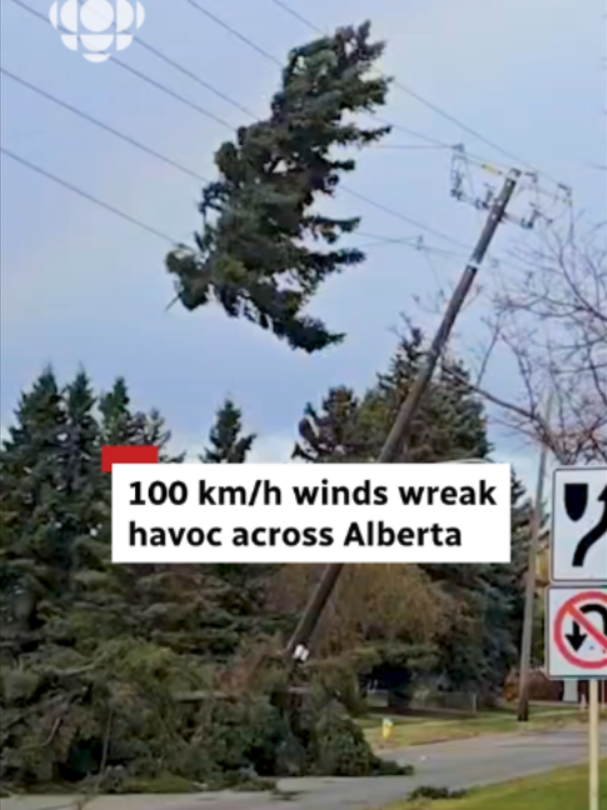 @CBC Edmonton