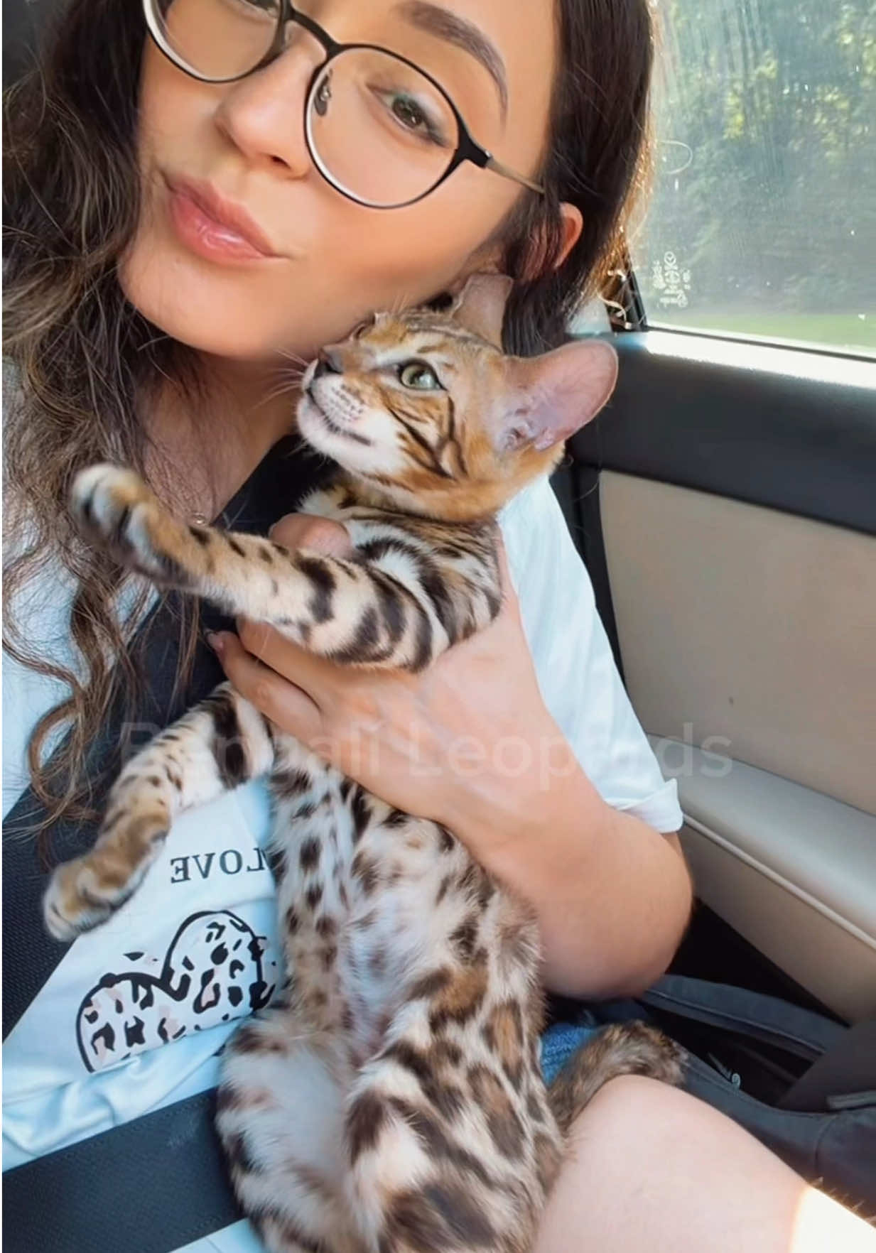@ＢＥＮＧＡＬ&Iacute;&emsp;ＬＥＯＰＡＲＤＳ