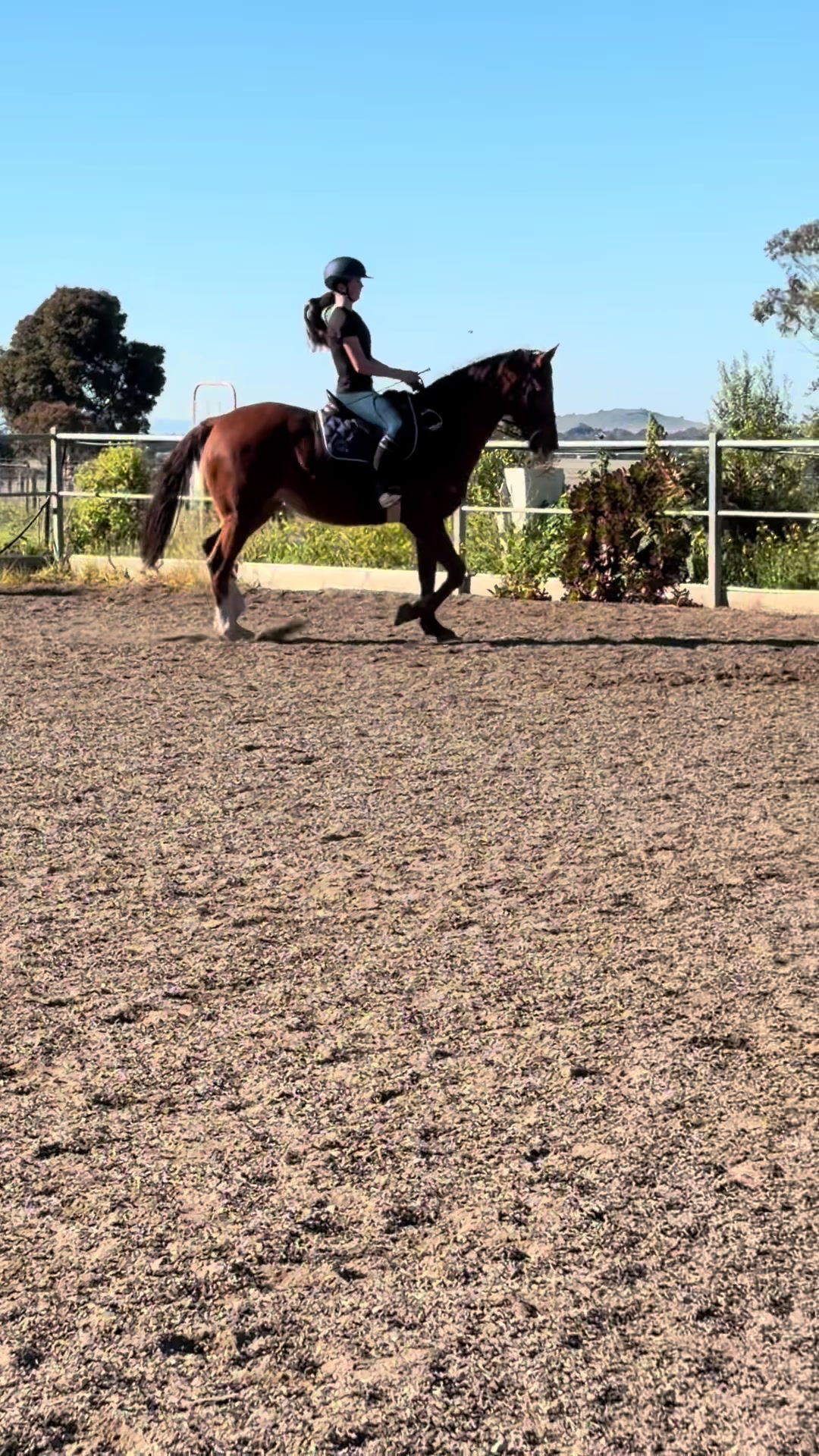 @🖤 Savs ponies🤍