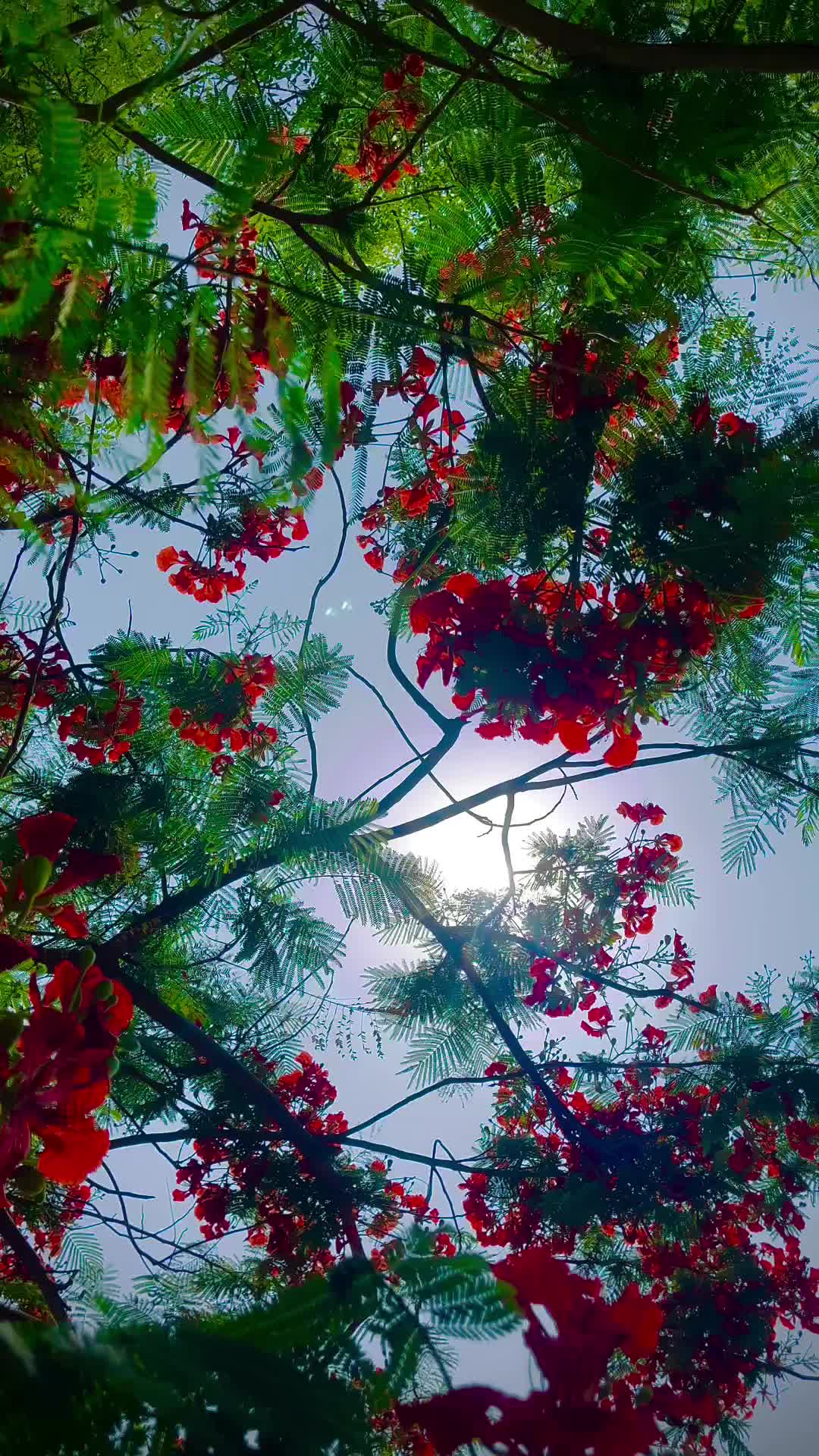 @ॐॐॐॐ 🌿🌿🌿♥️♥️♥️🙏🙏🙏